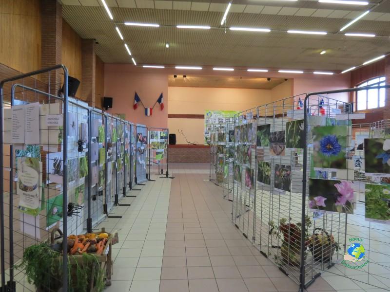 Exposition photo animaux en artois