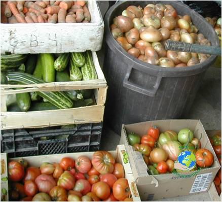 Vente de légumes de saison